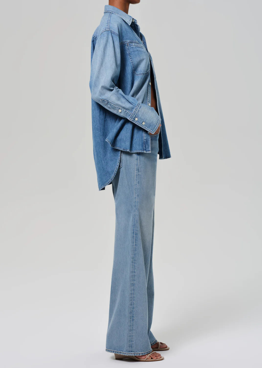 Citizens of Humanity Paloma Baggy In Chalice