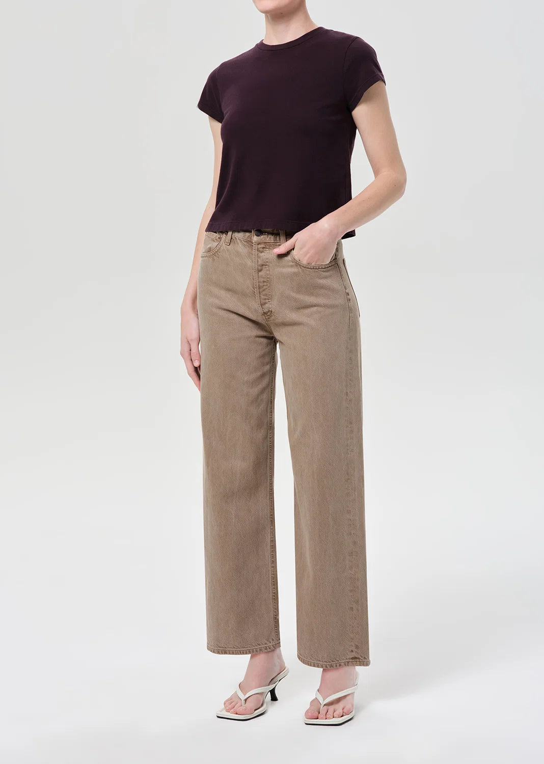 AGOLDE Adine Shrunken Tee In Eggplant