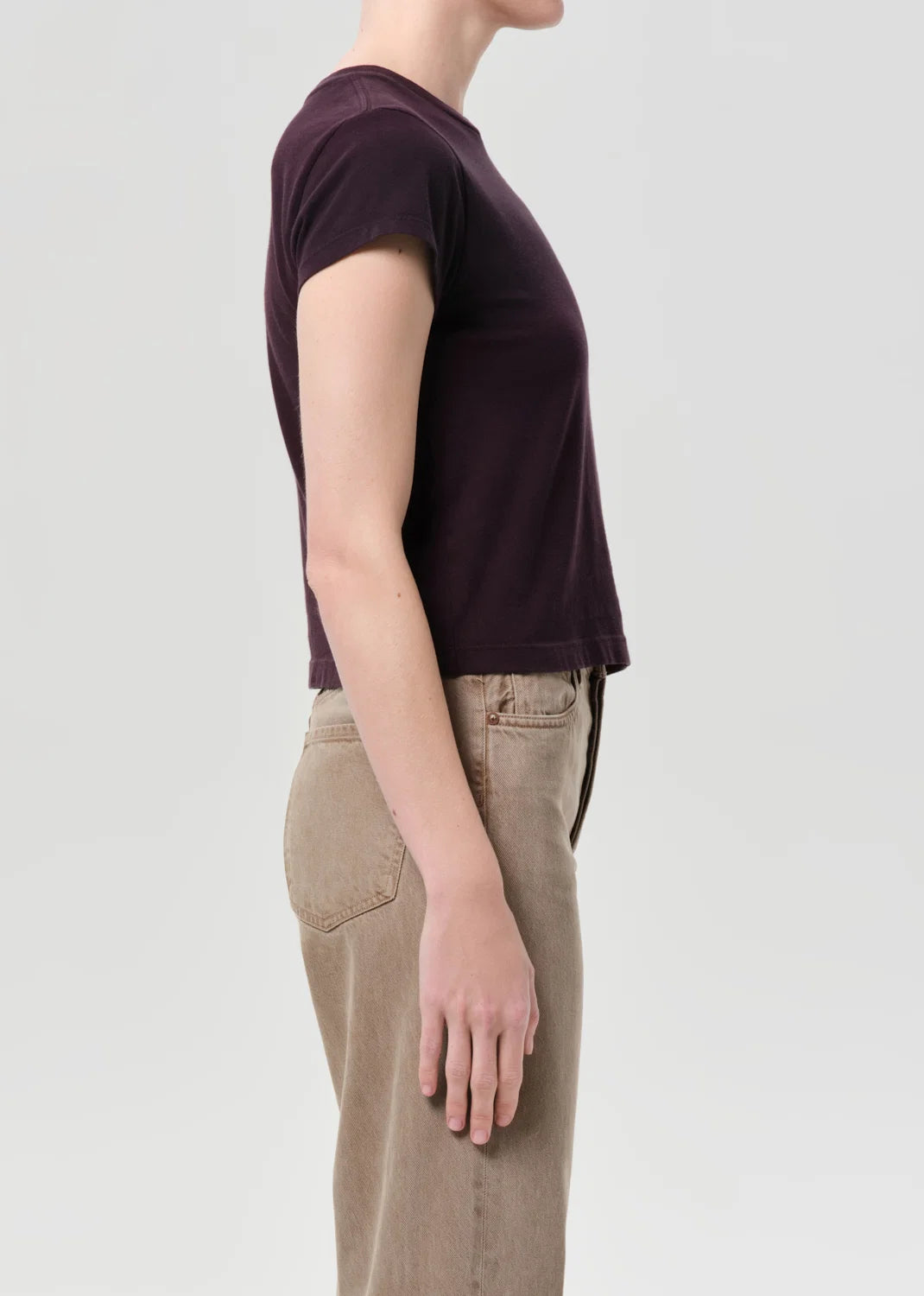 AGOLDE Adine Shrunken Tee In Eggplant