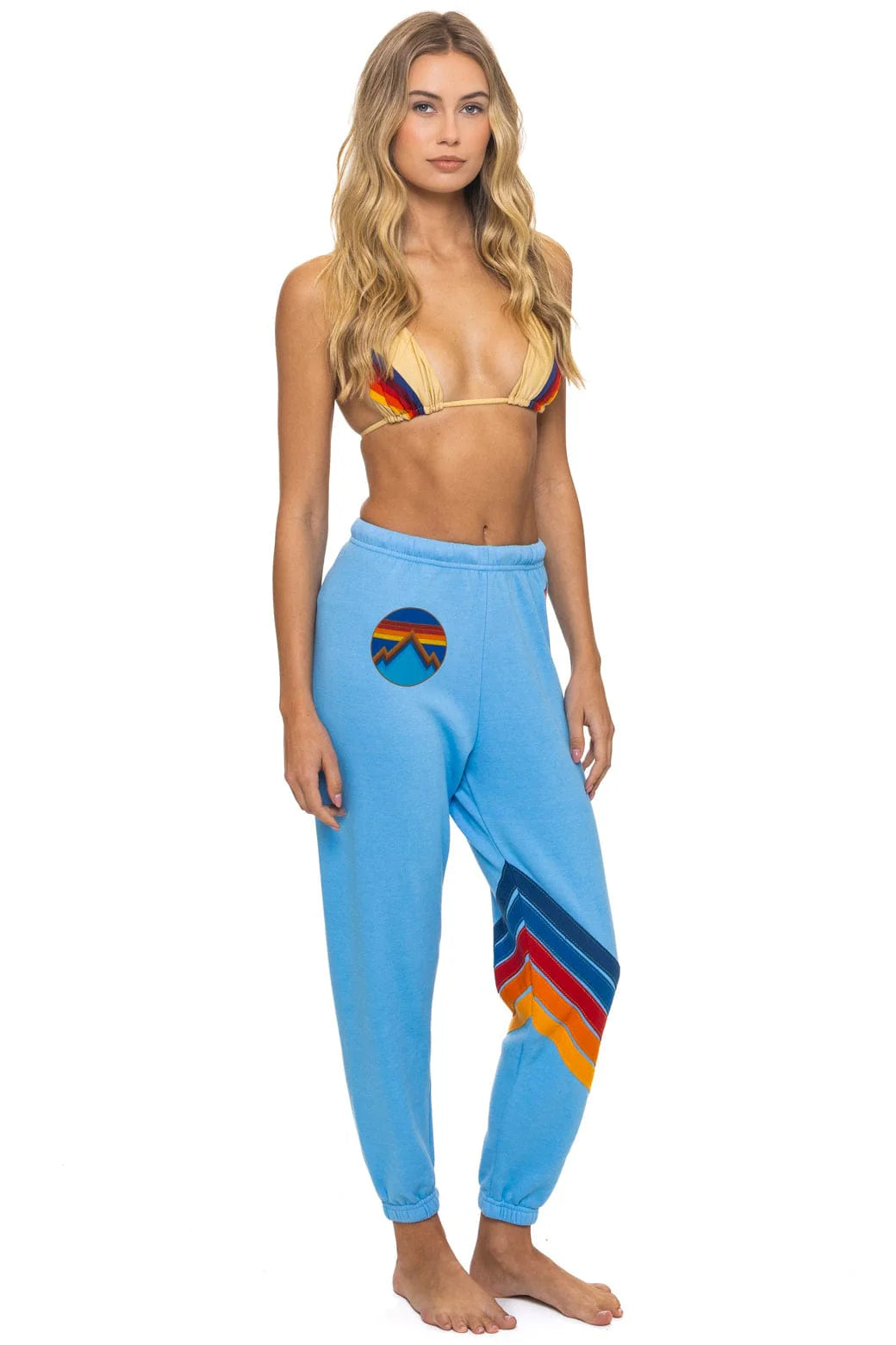 Aviator Nation ALL SEASONS CIRCLE CHEVRON SWEATPANTS - SKY