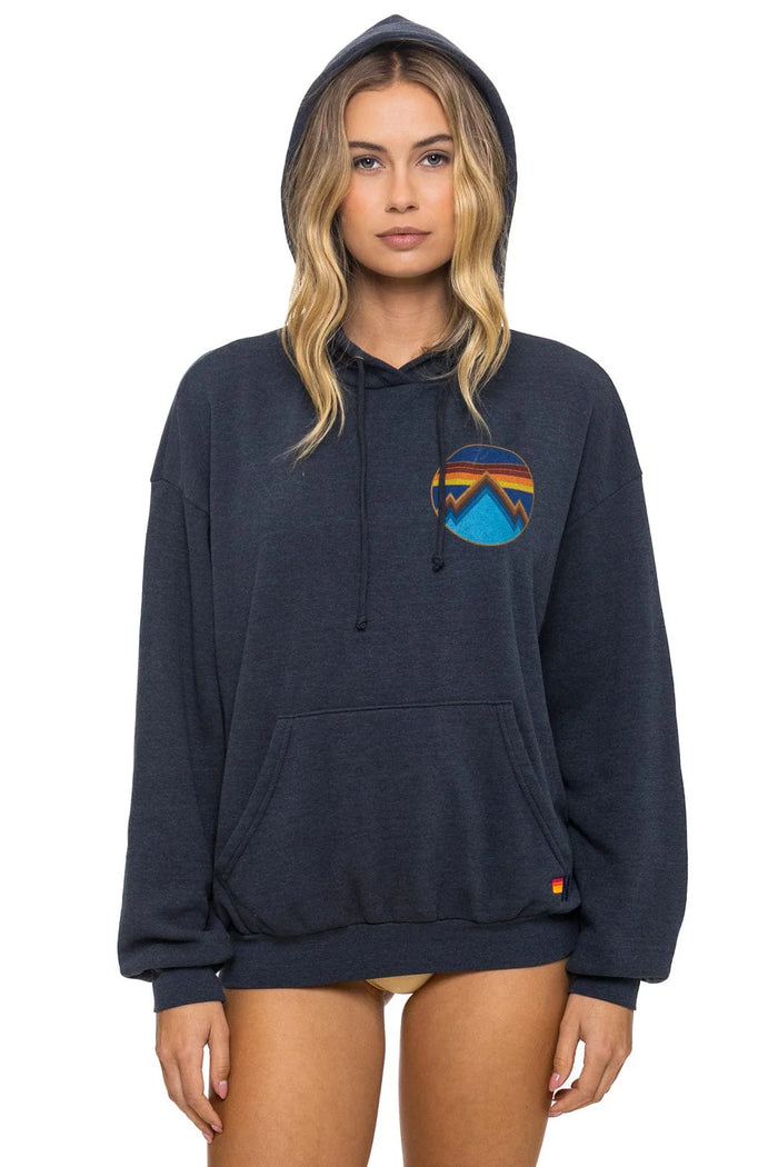 Aviator Nation ALL SEASONS RELAXED PULLOVER HOODIE - CHARCOAL