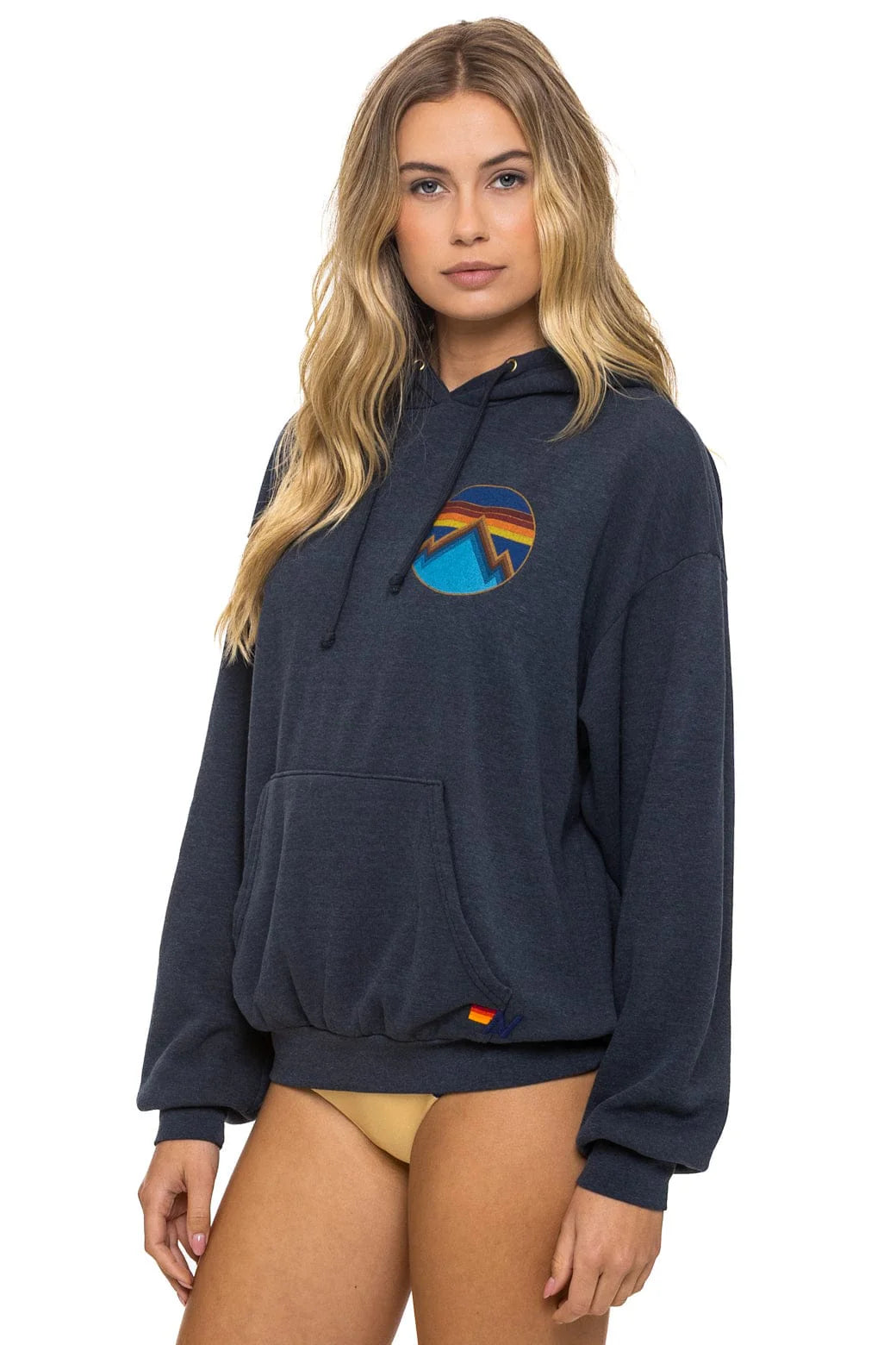 Aviator Nation ALL SEASONS RELAXED PULLOVER HOODIE - CHARCOAL