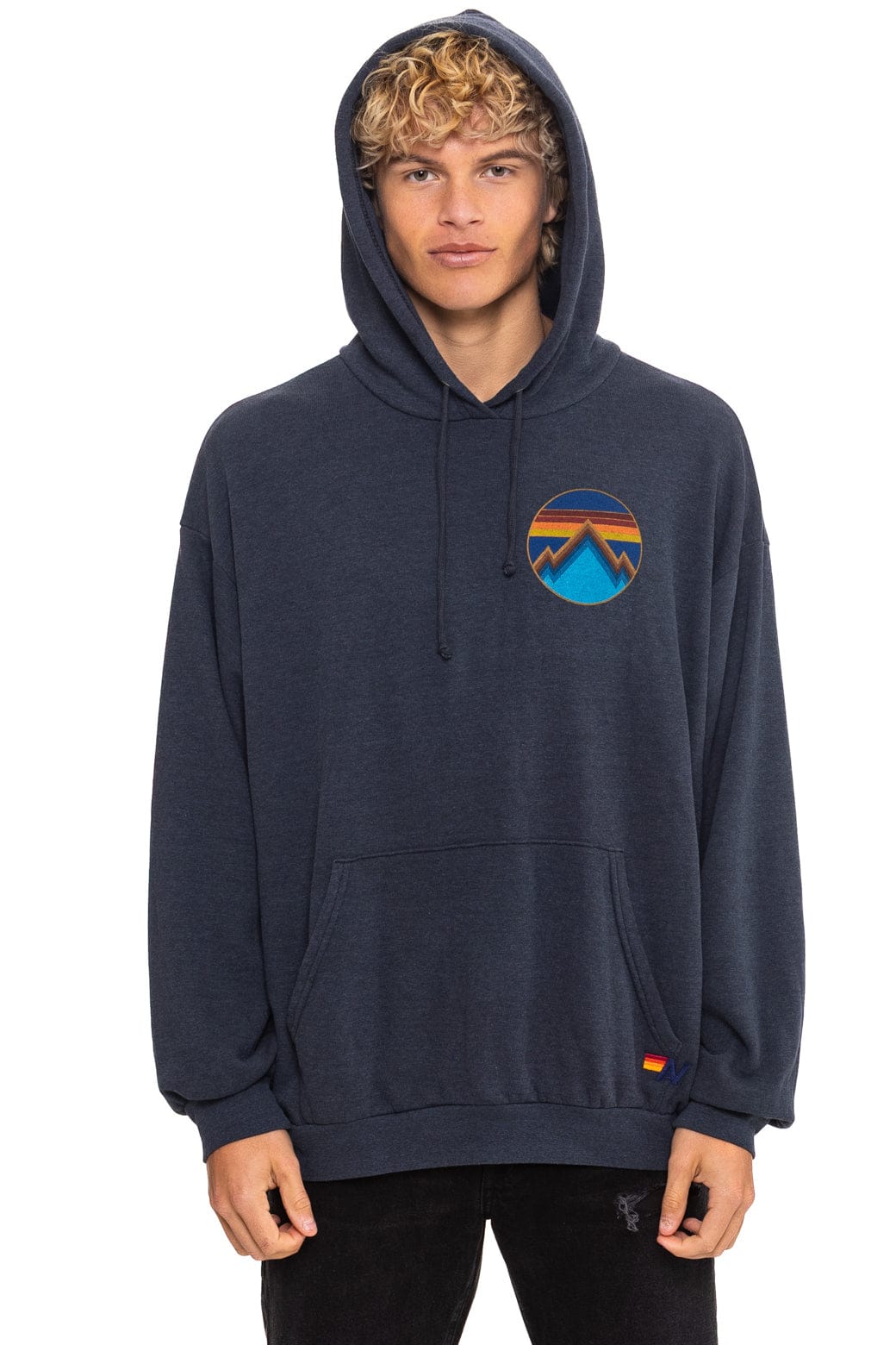 Aviator Nation ALL SEASONS RELAXED PULLOVER HOODIE - CHARCOAL