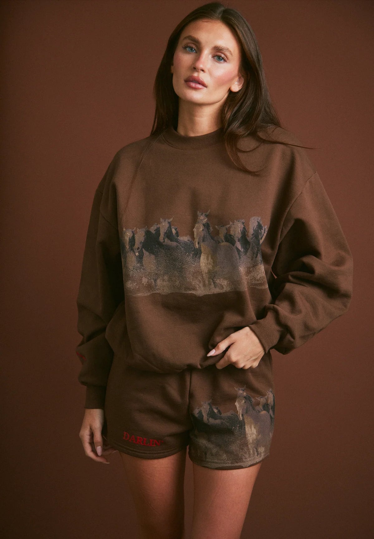 Darlin' WILD HORSE CREWNECK - TOBACCO